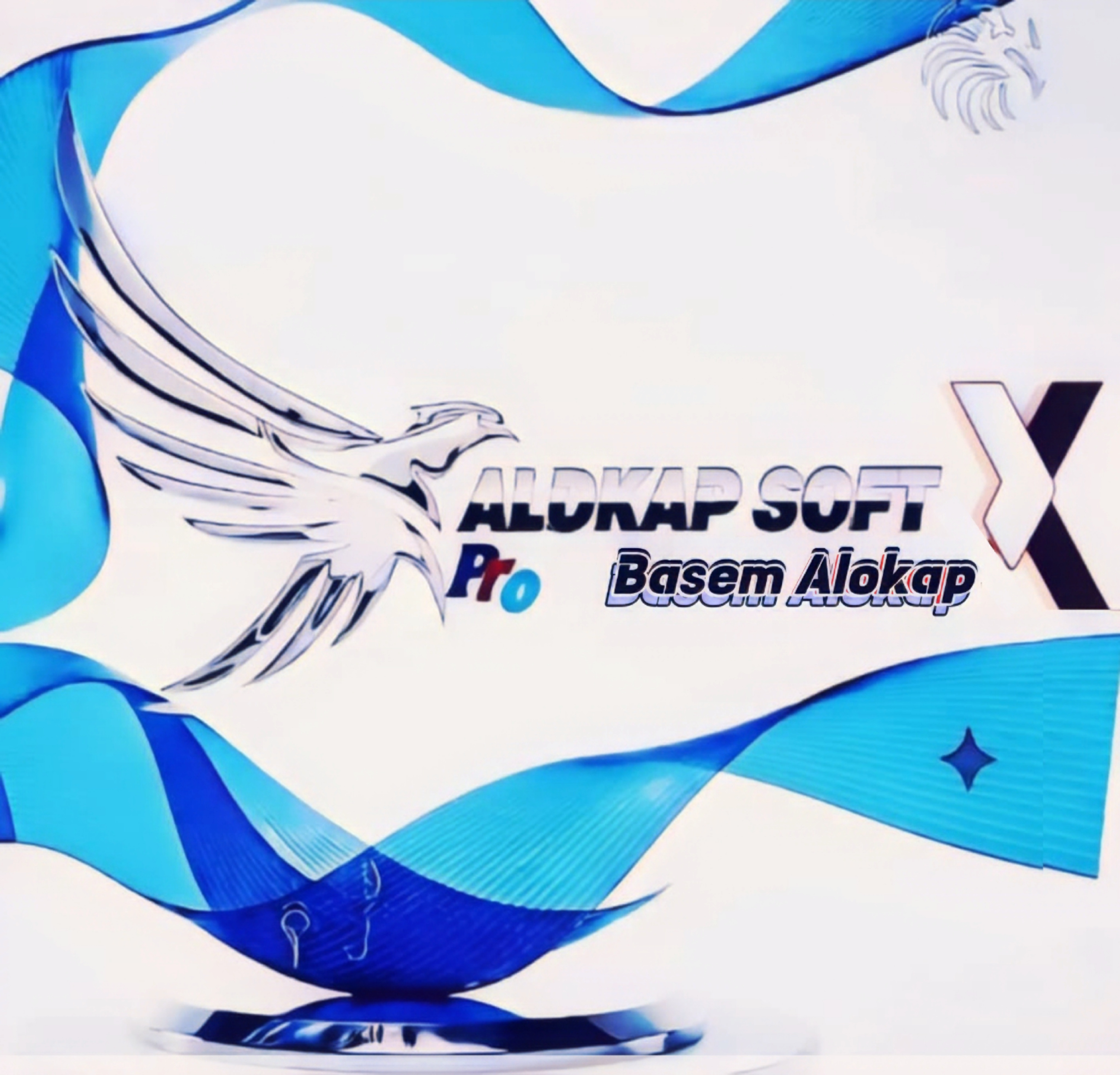Alokap Soft Logo